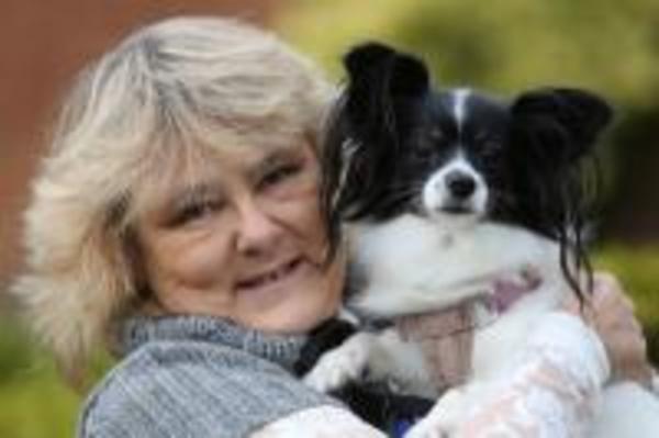 Taking The Lead. Dog trainer & behaviourist in Shoreham. West Sussex