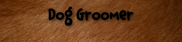 A1 Dog Grooming